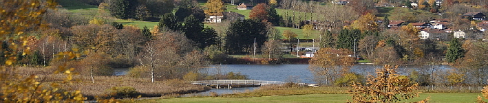 Banner kleiner Alpsee