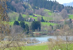 Bild Immenstadt Blick Alpsee