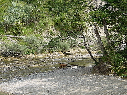 Buchenegger Wasserf�lle 6