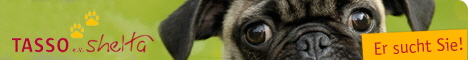 Banner Tasso Shelta 2
