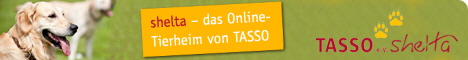 Banner Tasso shelta