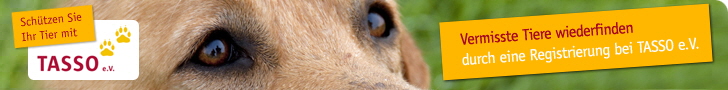 Banner Tasso